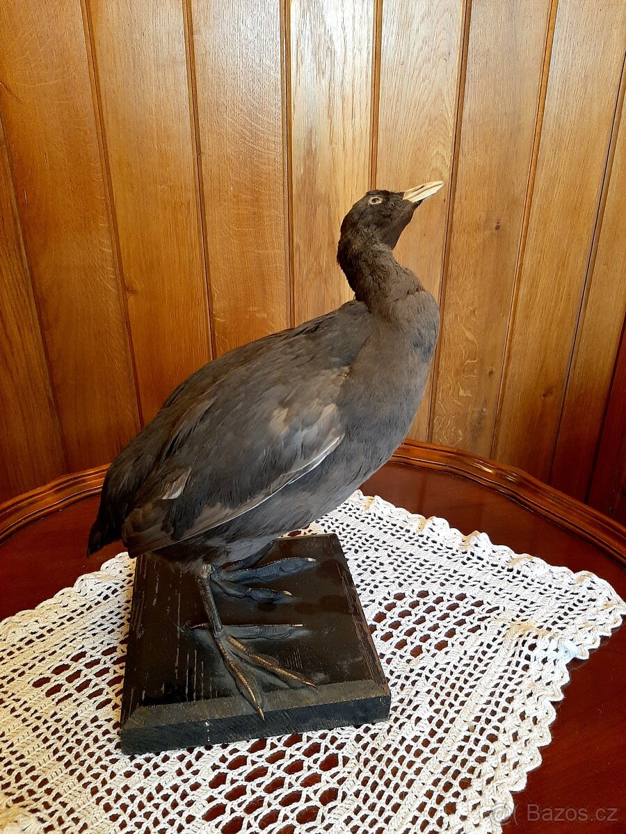 myslivost, soubor dekoračních předmětů - 4