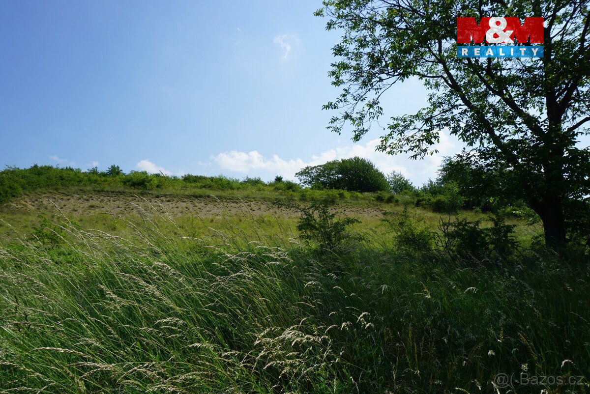 Prodej pozemku k bydlení, 5749 m², Sobětuchy - 4