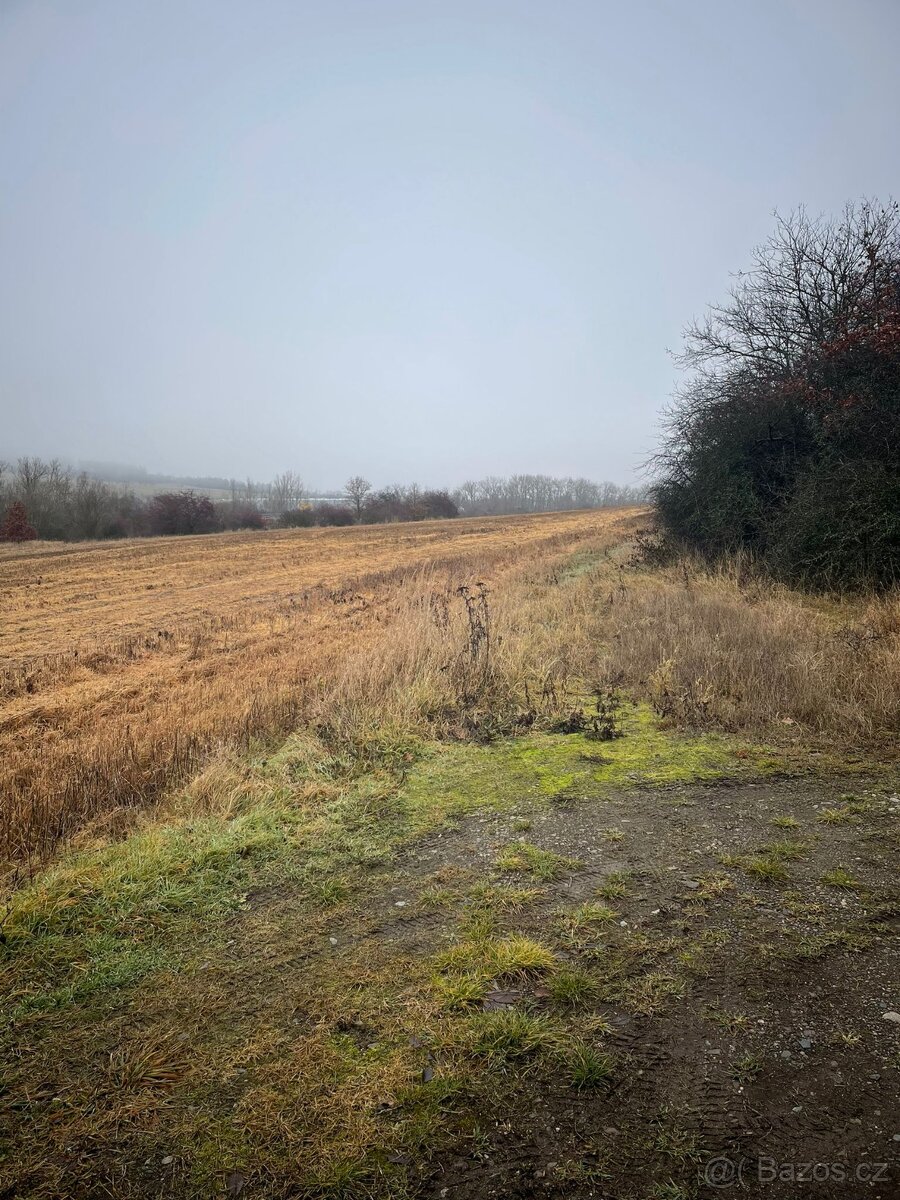 Prodám 2600 M2 v Cerhovicích - 4