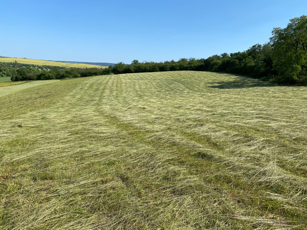 Seno malé hranaté balíky - 4