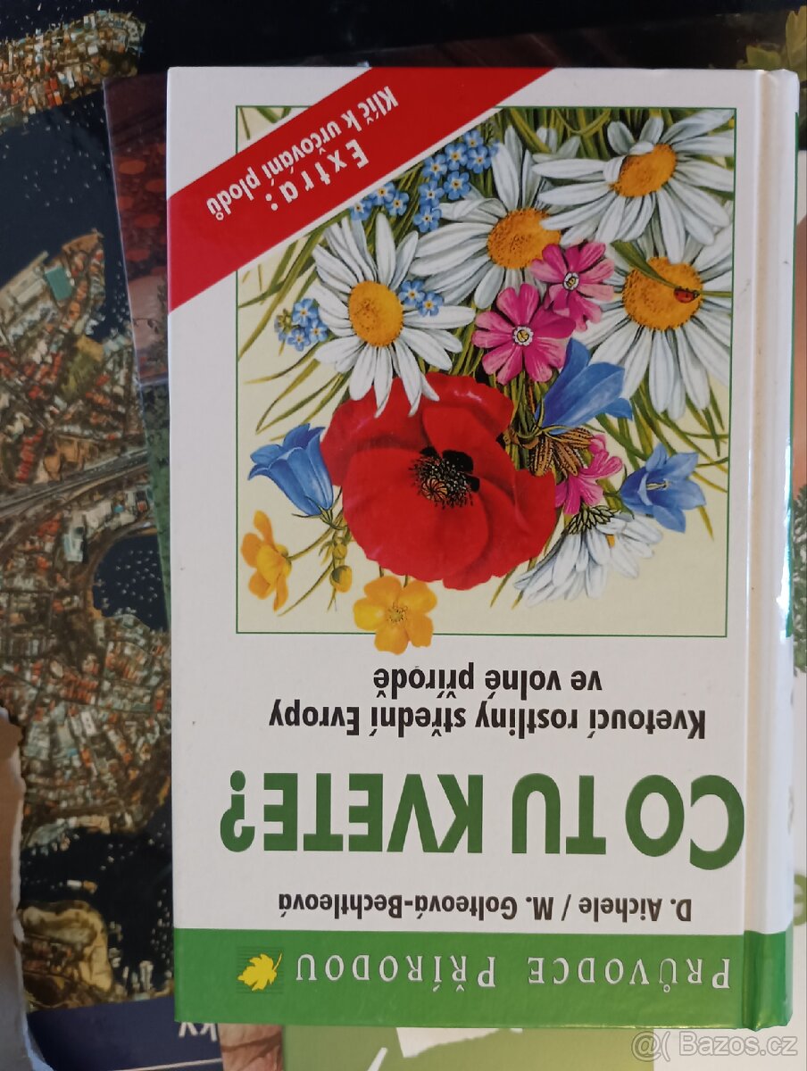 Různé knihy (některé obrovské, kvalitní, nové) - 4