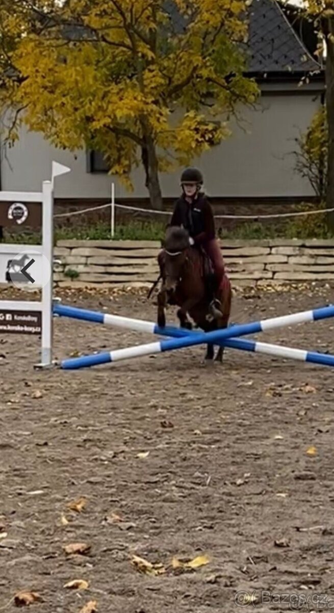 8letá pony klisna - 4
