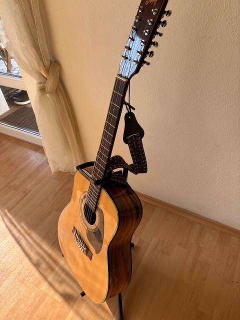 Dvanáctistrunná kytara - 4