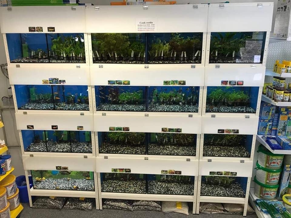 Na prodej zavedený zverimex s e-shopem - 4