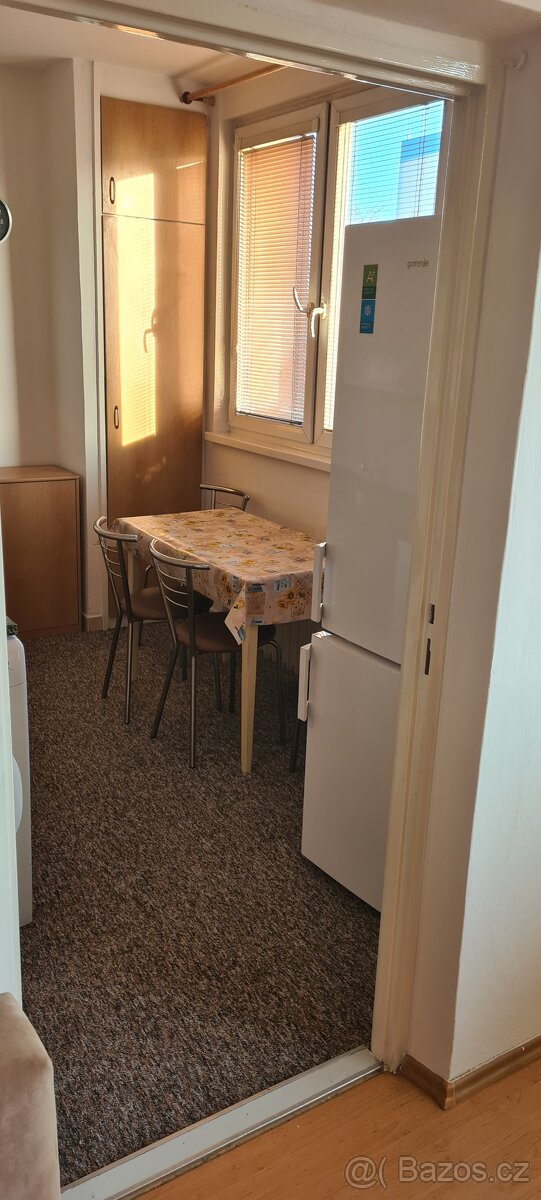 Pronájem bytu 1+1 Ostrava Hrabůvka - 4