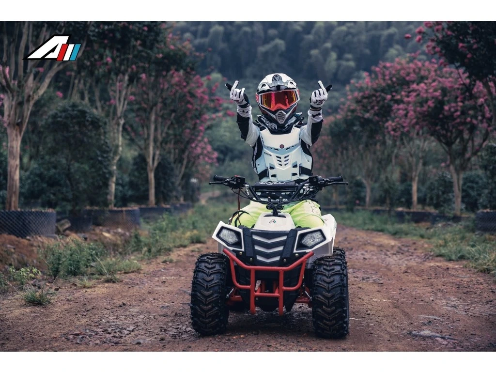 Dětská čtyřkolka 4 RIDER
