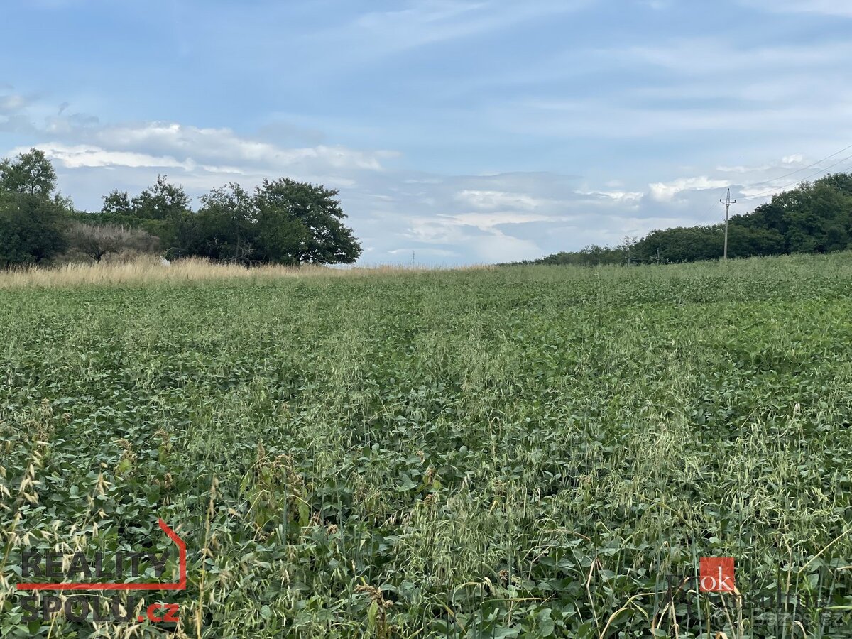 Prodej, pozemky/bydlení, 788 m2, Hustopeče, Břeclav [ID 7392 - 4