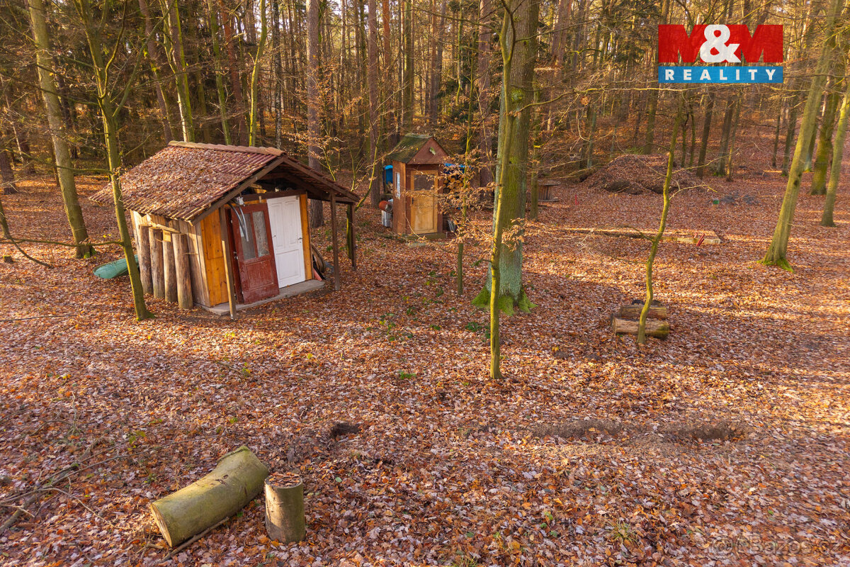 Prodej chaty, pozemek 12 745 m², Štěpánovsko - 4