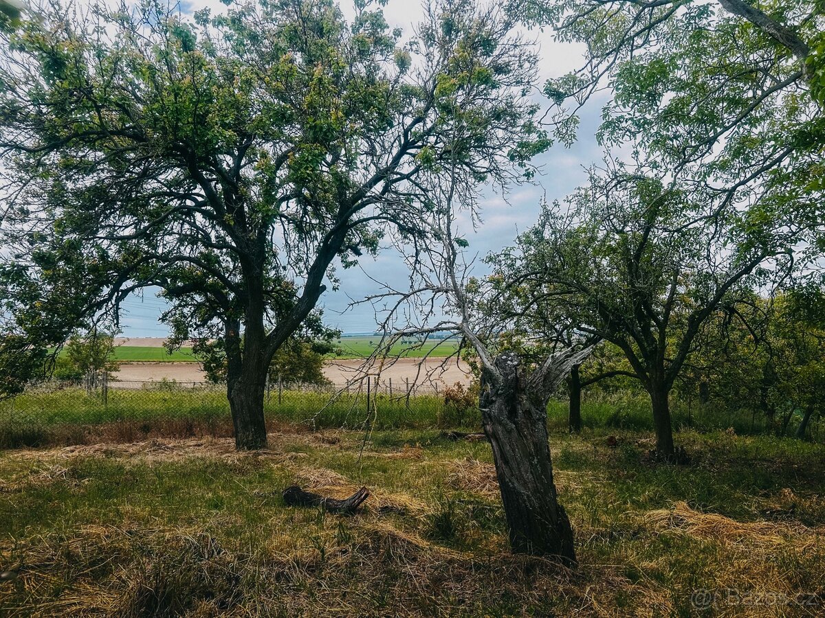 Zahrada Kyjov Sliny, plocha 1049m - 4