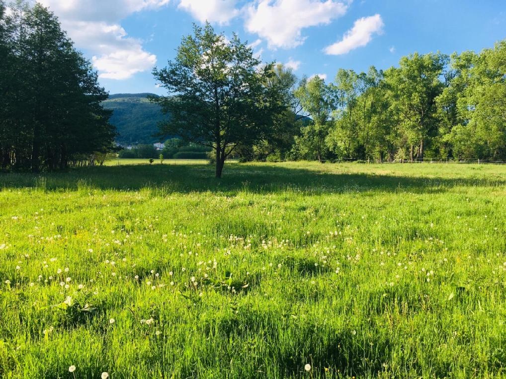 Pastevní ustájení 🌿🐴 - 4