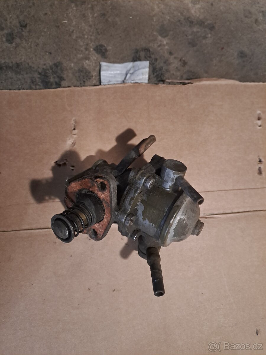 Felicia octavia spartak veterán - 4