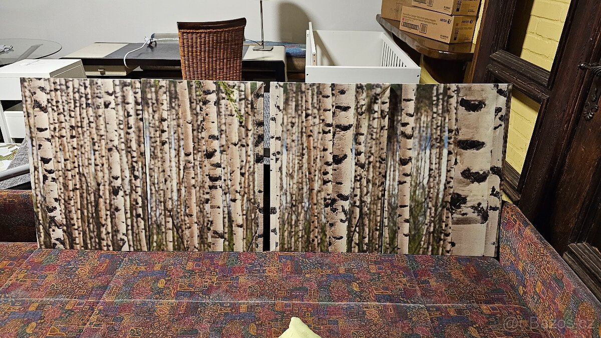 OBRAZY - různé druhy - 4