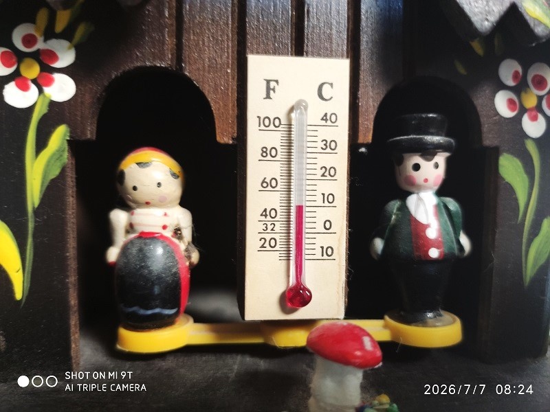 Schwarzwald, kukacky, meteodomecek - 4