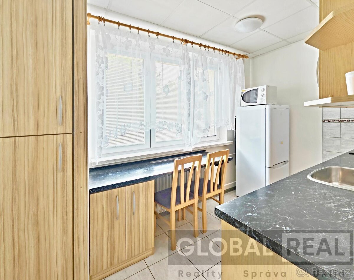Pronájem bytu 1+1 blízko centra Jihlavy - 4