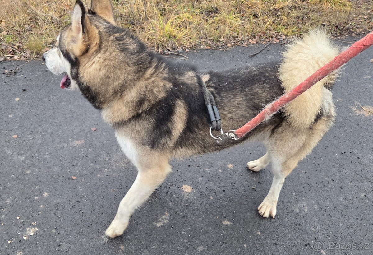 Rodinné důvody - 4