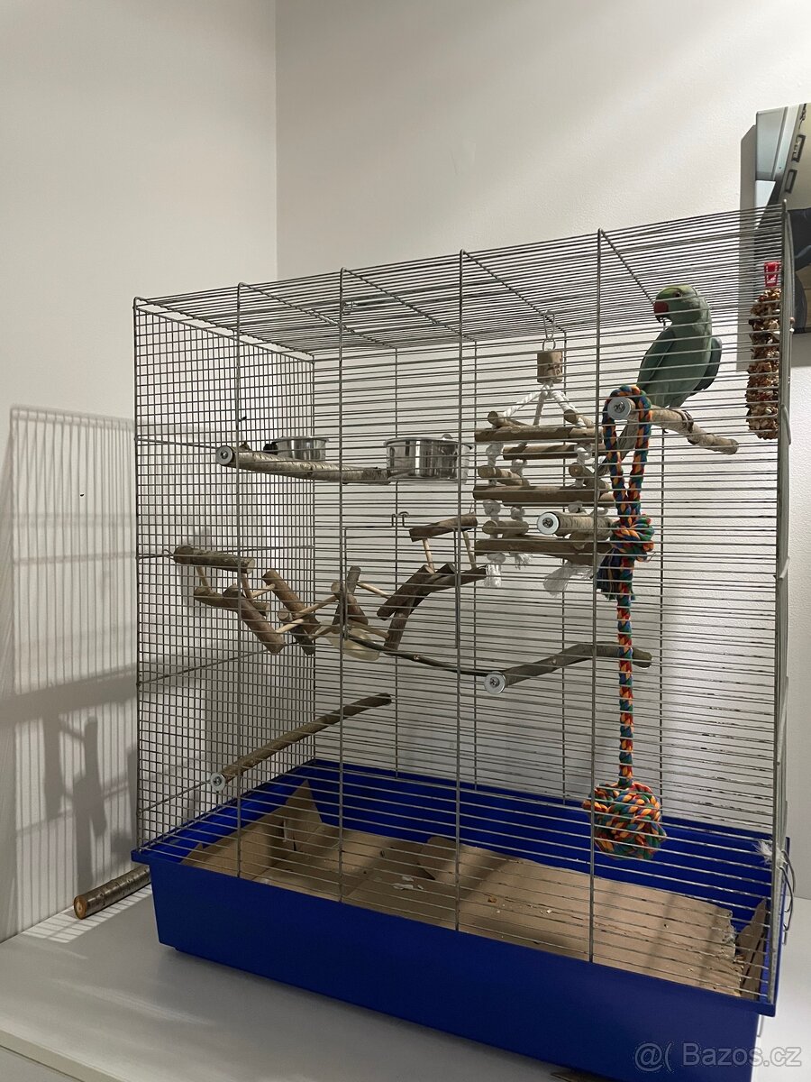 Alexandr malý s klecí - 4