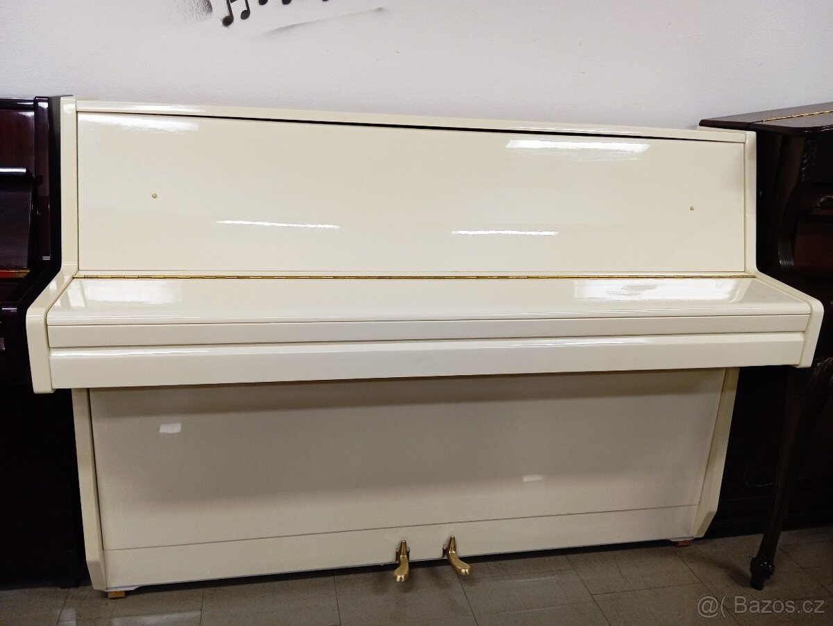 Aspheim (Hyundai)/lesk/-Dovoz i na Štědrý den 24.12. - 4