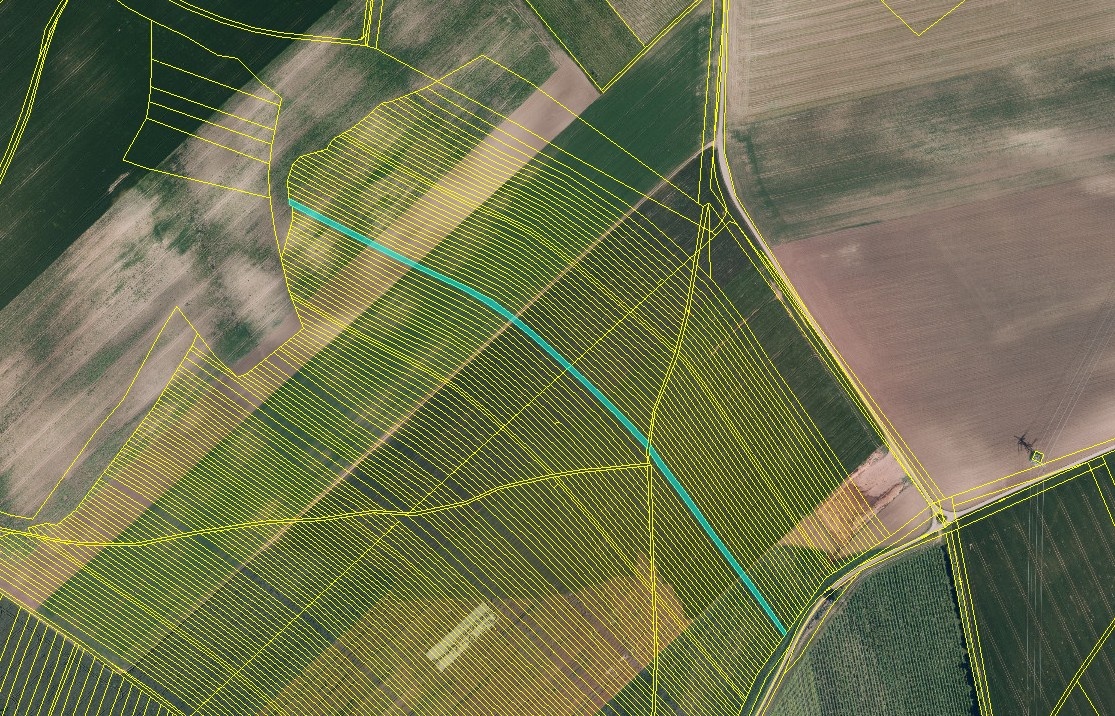 Prodej polí a vinice – 2,5 ha – Čejkovice - 4