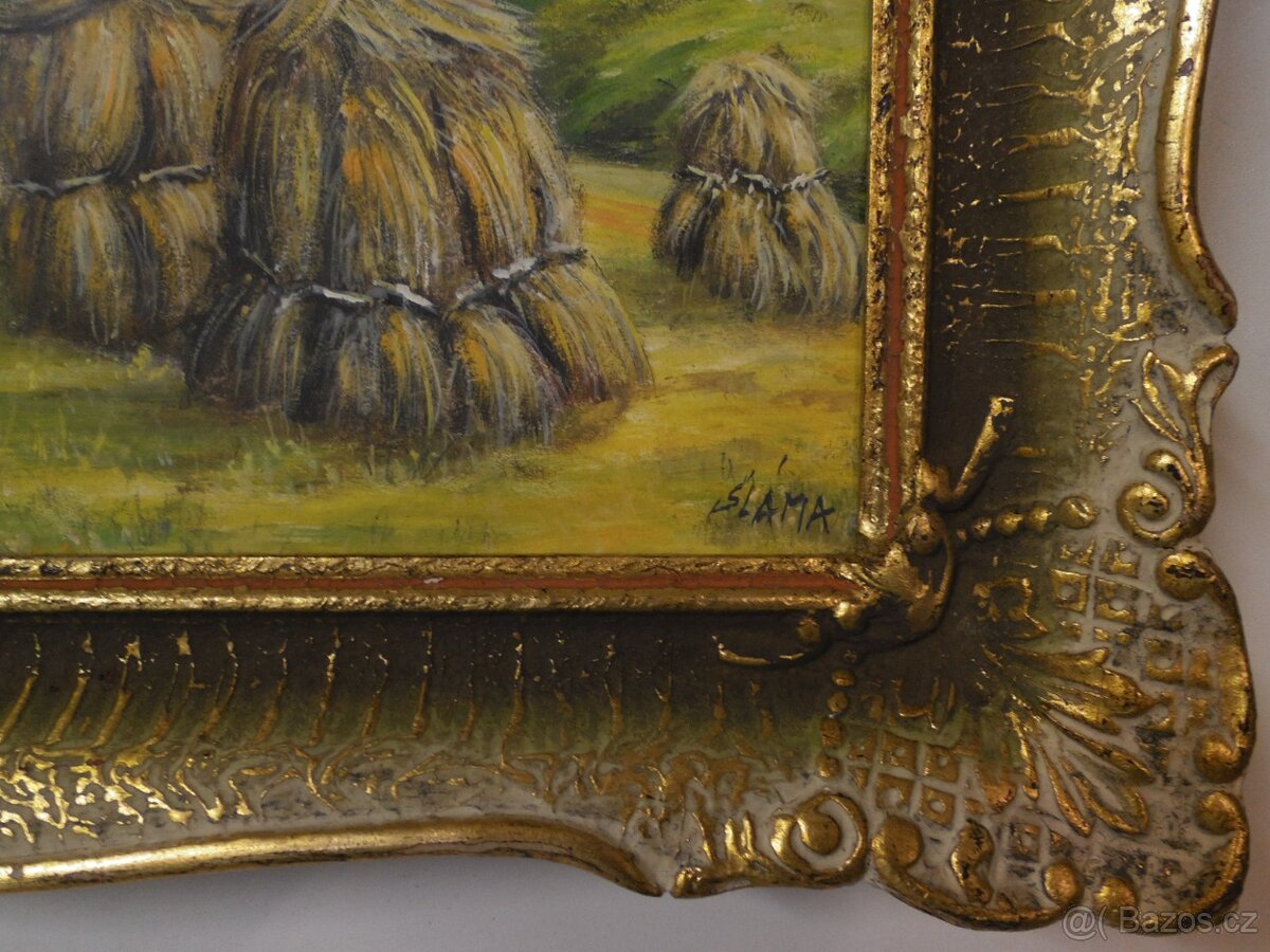 Žně na Vysočině - 4