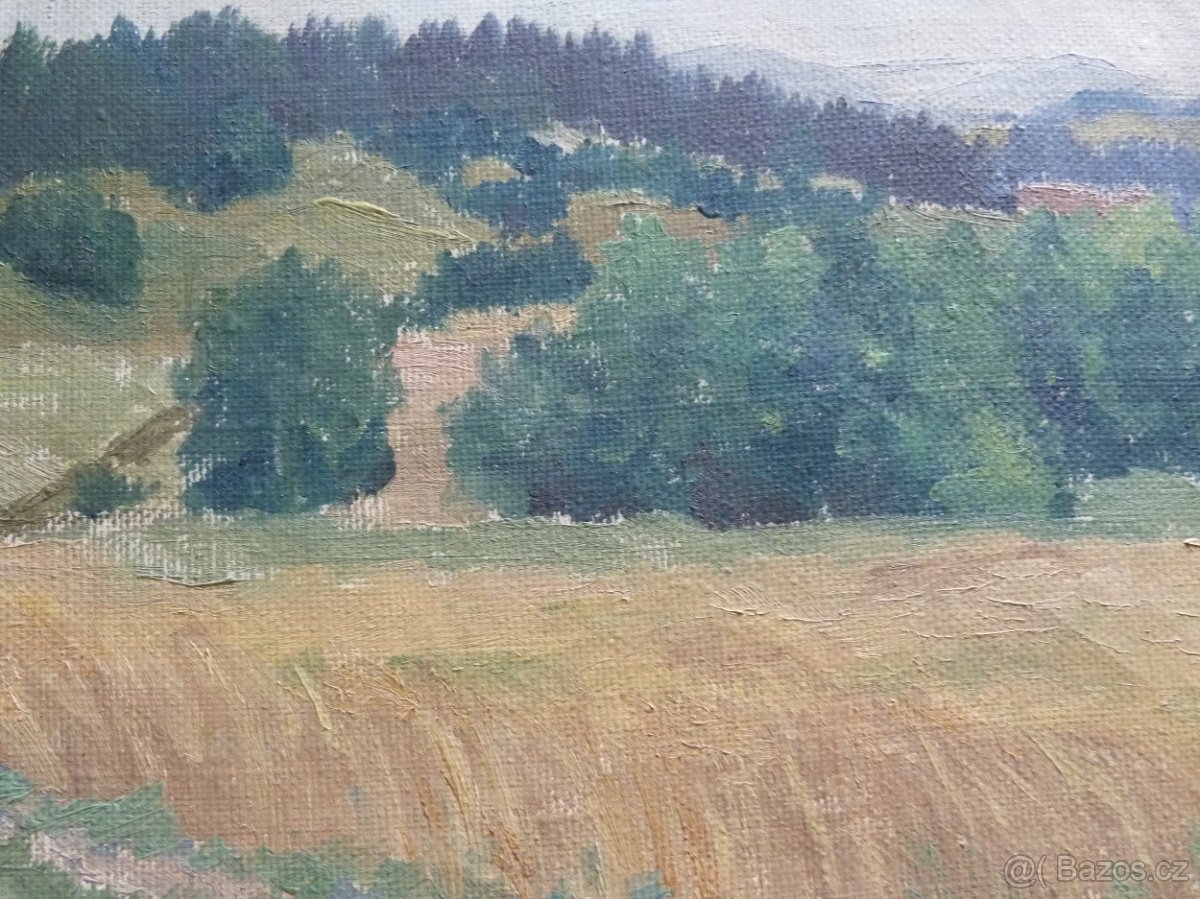 Pěkný obraz krajiny - 4