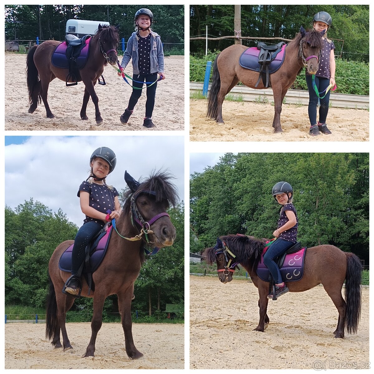 Shetty sedlo, podsedlová dečka, madla - 4