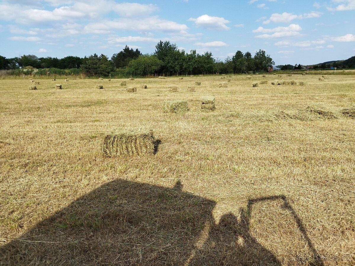 Prodám malé hranaté balíky lučního sena - 4