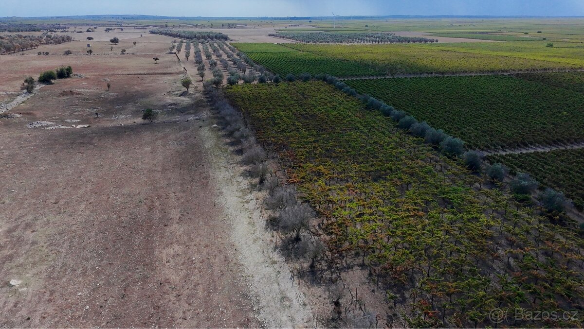Prodej stavebního pozemku u moře🇮🇹 - 4