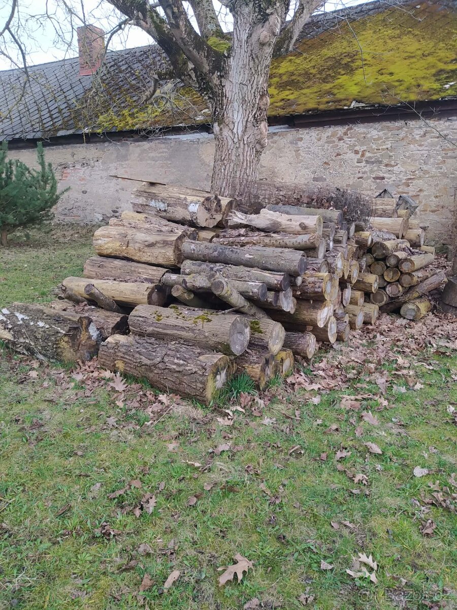 Listnaté dřevo - 4