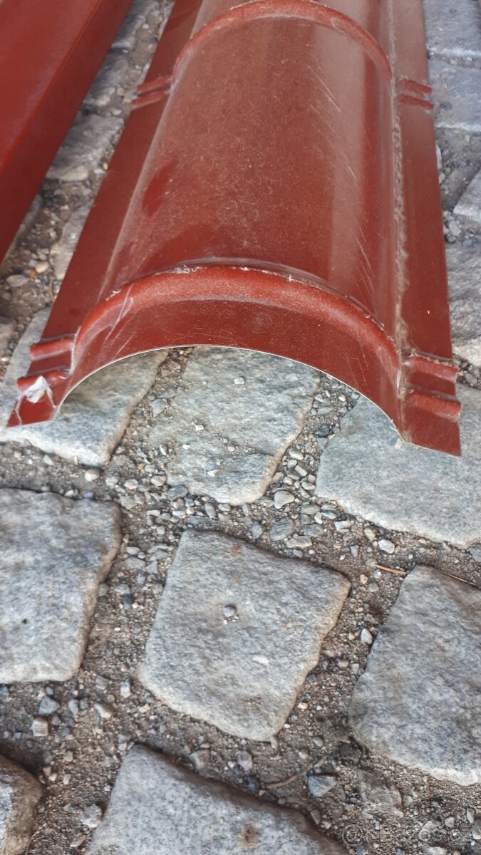 Hřebenače lišty - 4