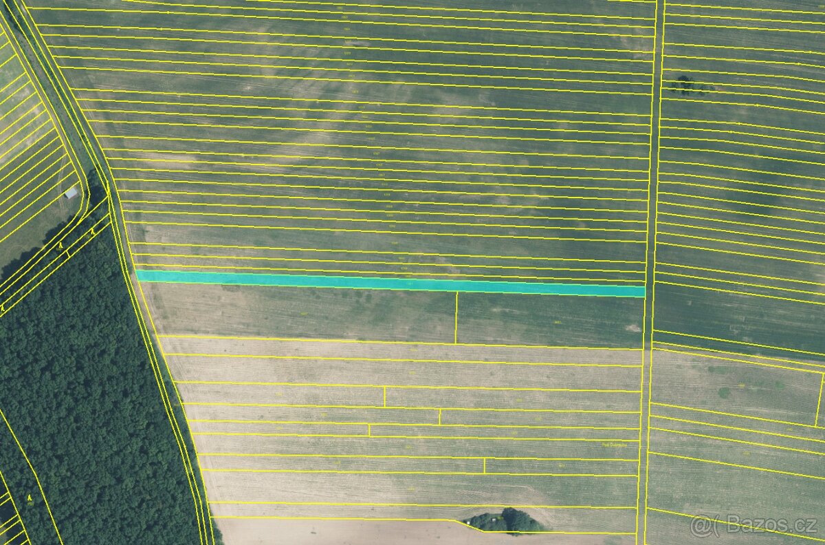 Prodej polí a lesa - 1,5 ha – kú Javorník nad Veličkou - 4