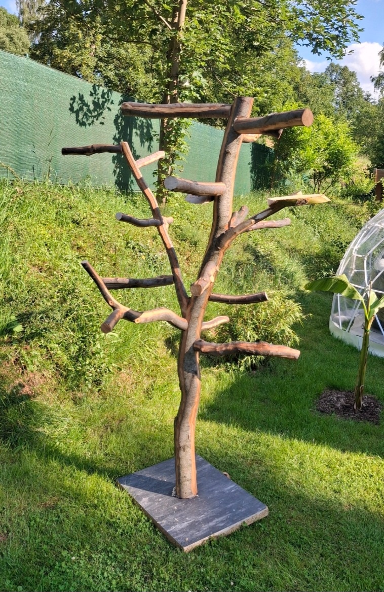 Nepoužitý strom pro velké papoušky - 4