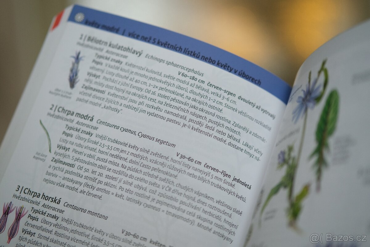 Co tu kvete? kniha - 4