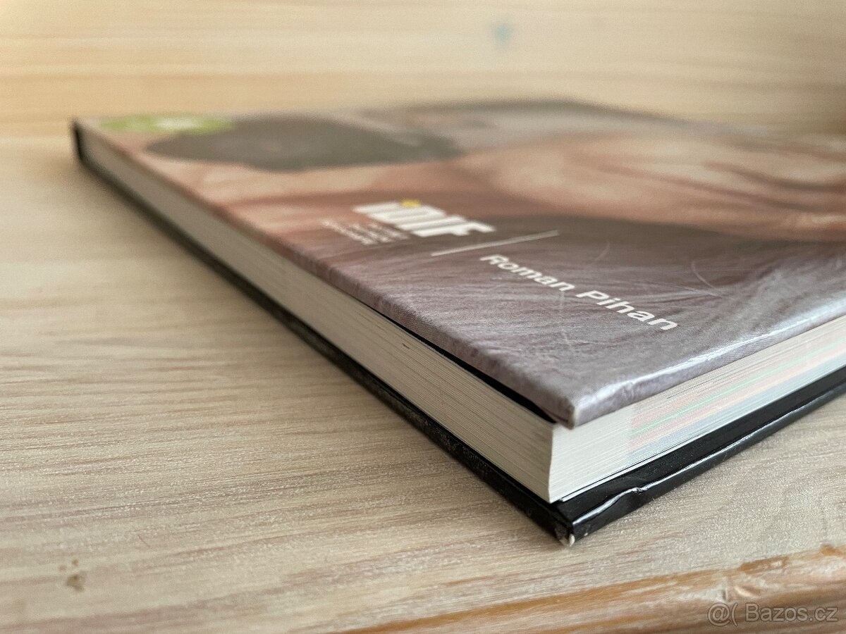 Kniha Mistrovství práce s DSLR - Roman Pihan - 4