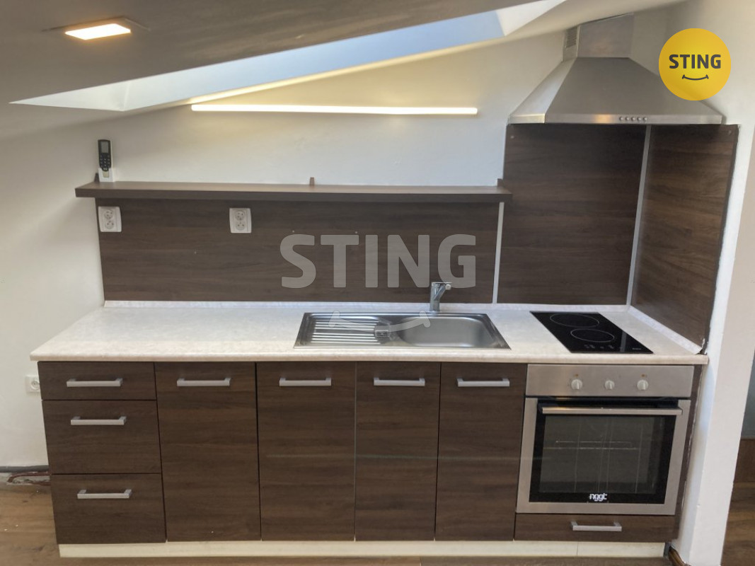 Pronájem ateliéru v Opavě, ul. Hviezdoslavova, 134112 - 4