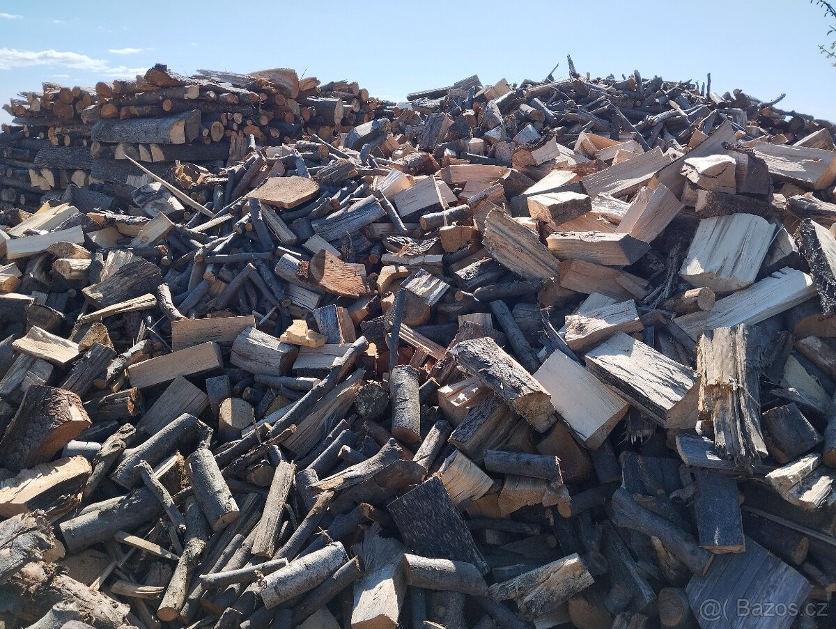 Dřevo - 4
