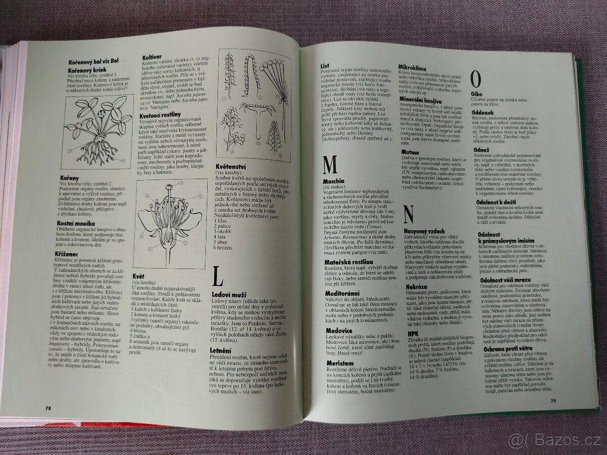 Kniha - Balkonové rostliny – JAKO NOVÁ - 4