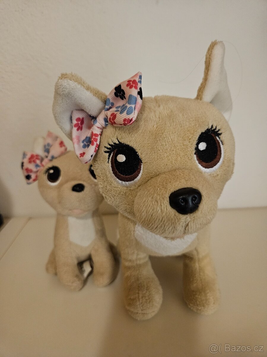 Simba Chi chi love čivava - 4