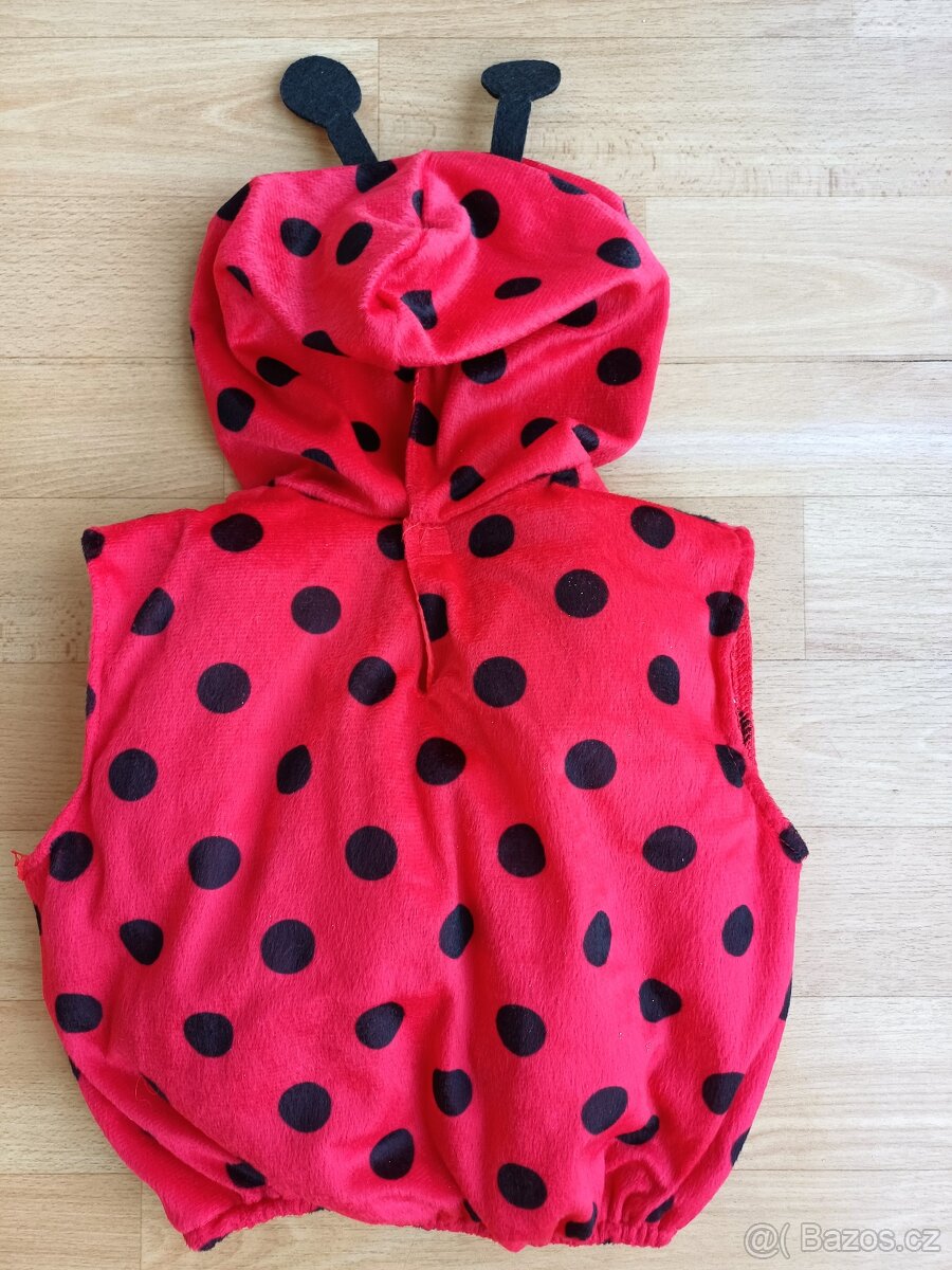 Karnevalový kostým BERUŠKA - 4