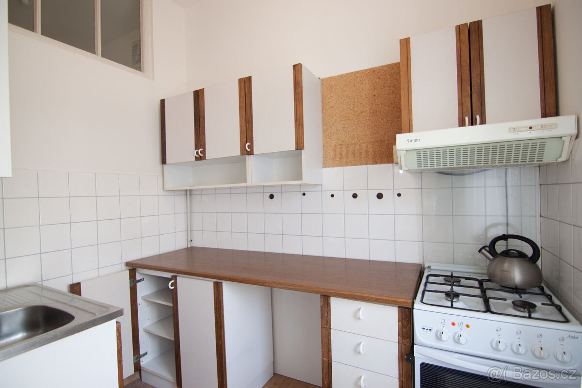 Byt v rodinném domě, zahrada - 4