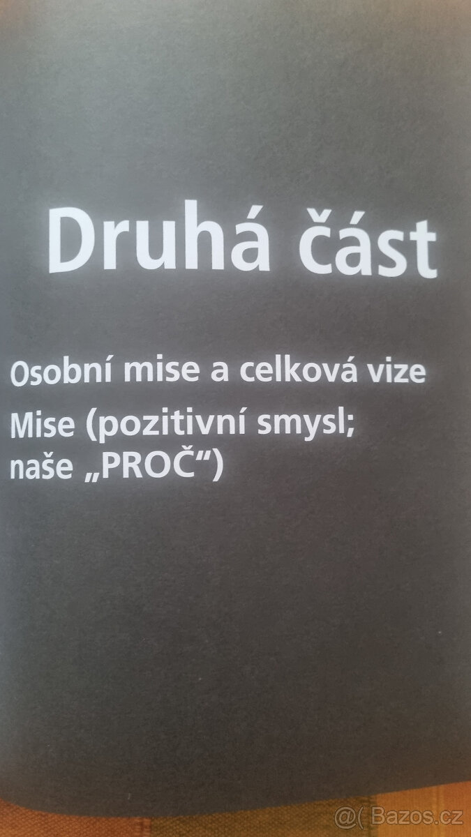 Pozitivní leader - 4