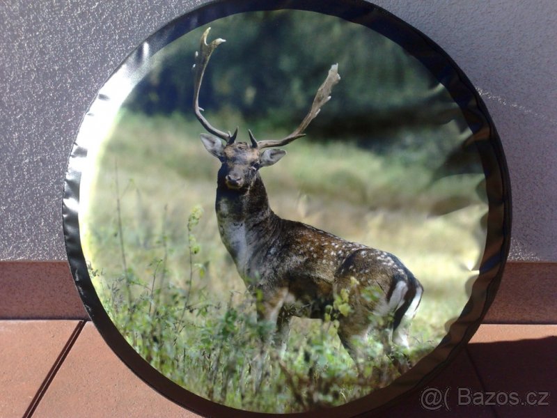 Terrano, patrol kryt kola - 4