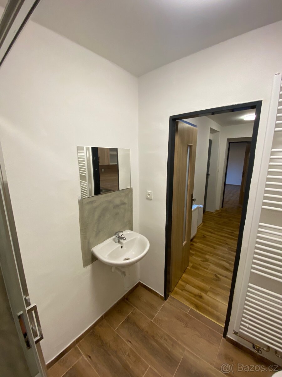 Pronájem bytu . - 4