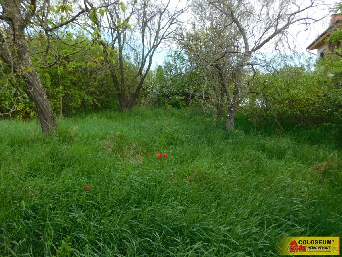 Znojmo, zahrada 609 m2, elektřina, voda, ovocné stromy - zah - 4