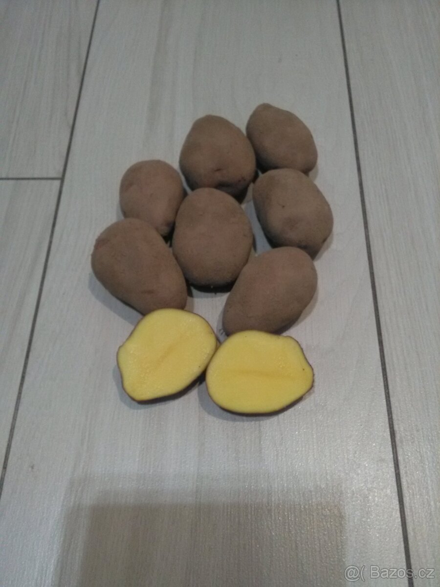 Konzumní brambory červené. - 4