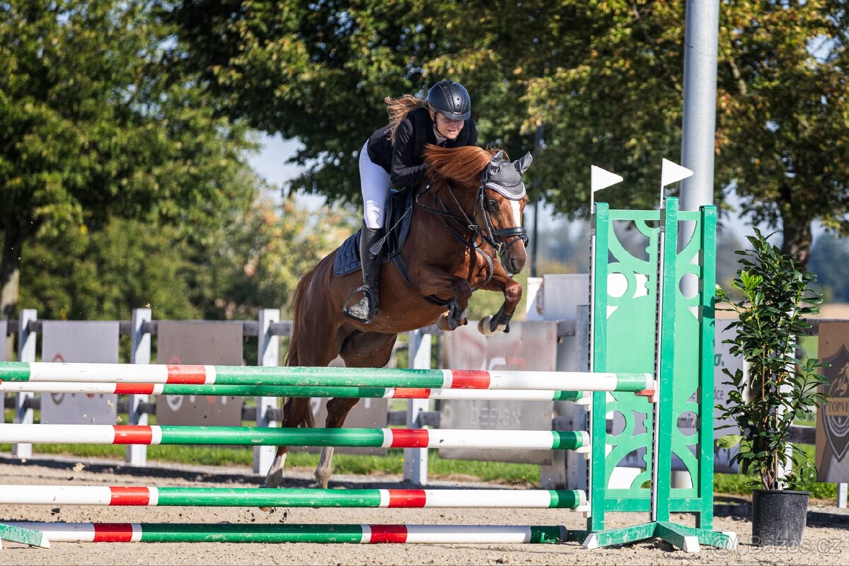 Sportovní pony B - 4