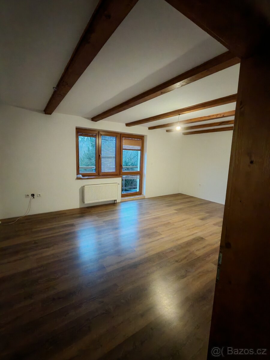 Pronájem rodinného domu - 4