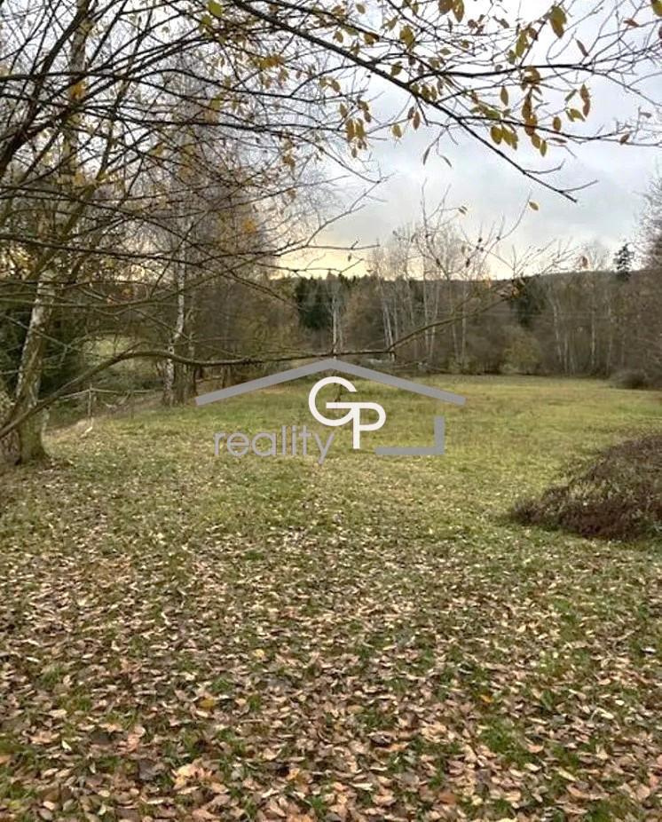 Prodej louky u obce Krasetín - Holubov - 4
