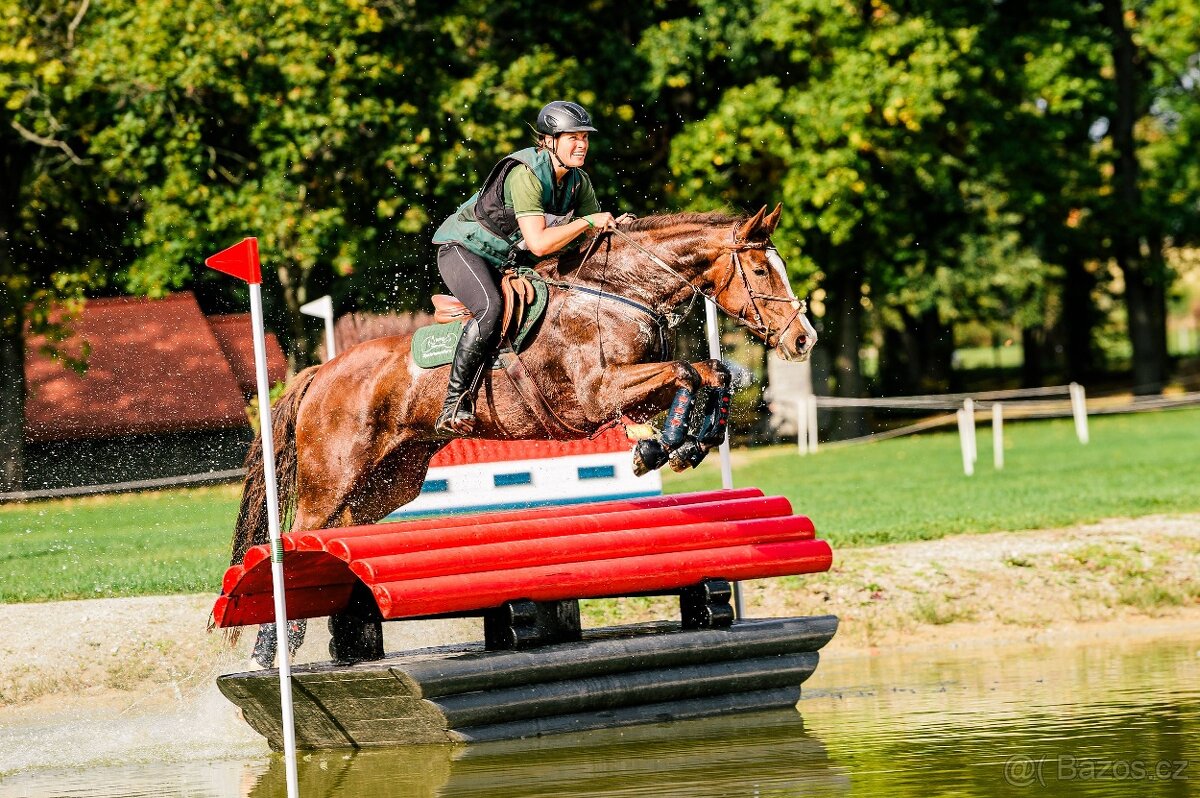 Perfektní klisna pro juniory do mezinárodní všestrannosti - 4