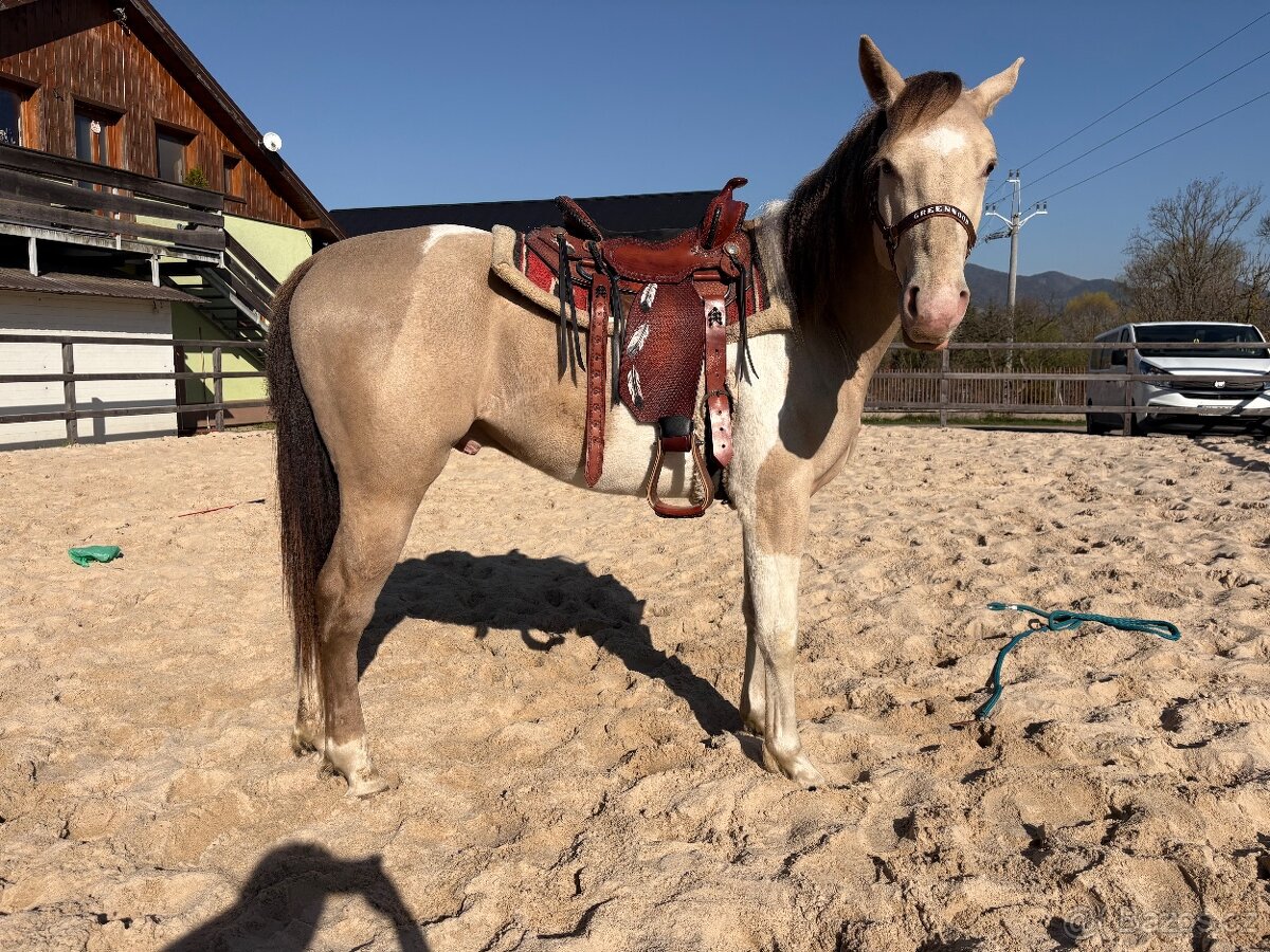 APH More Moonlight Chex - 4