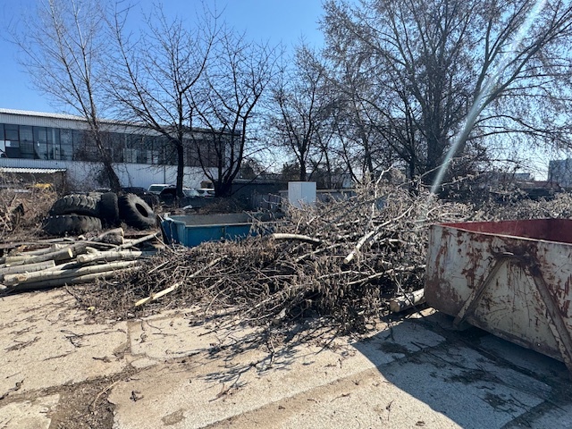 DŘEVO NA OTOP - osika, bříza, vrba, třešeň - 4